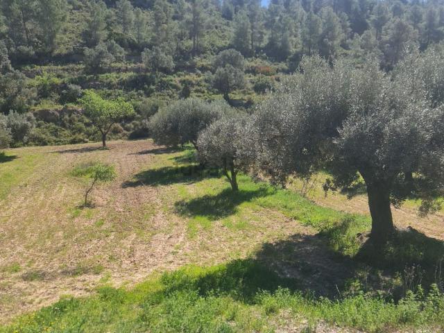 Casa Rural en venta en Ribera d'Ebre, Catalunya