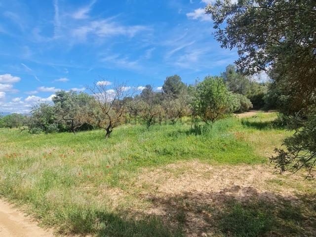 Casa Rural en venta en Flix