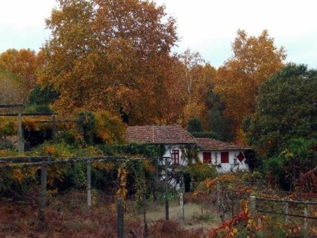 Quinta venda em Anho Bom, Marecos