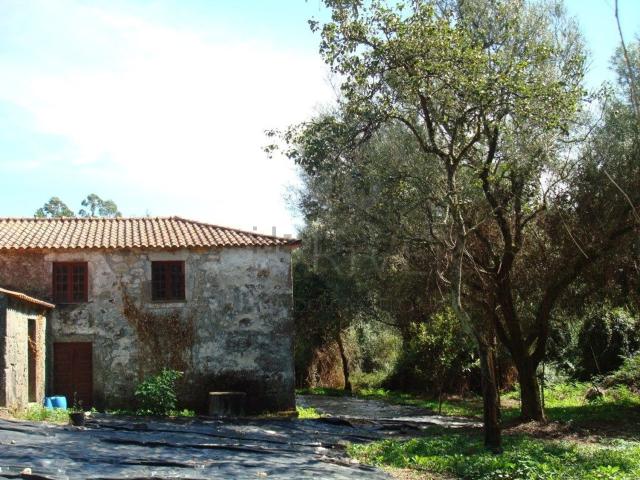 Quinta venda em Esposende, Braga