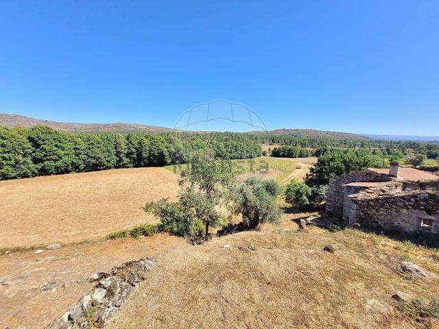 Quinta venda em Fornos De Algodres