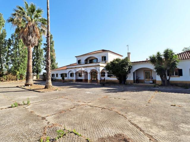 Quinta venda em Salvaterra De Magos, Santarém