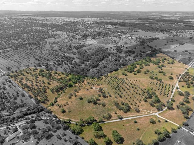 Quinta venda em Foros de Vale de Figueira, Montemor-o-novo