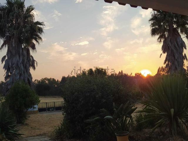 Quinta venda em Foros de Vale de Figueira, Montemor-o-novo