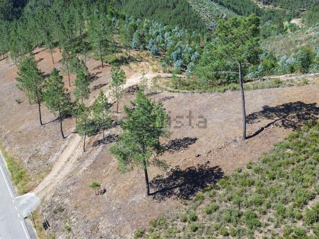 Quinta venda em Castelo Branco, Vila Velha De Ródão