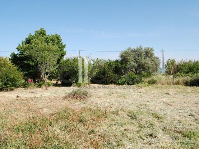 Quinta venda em Castelo Branco