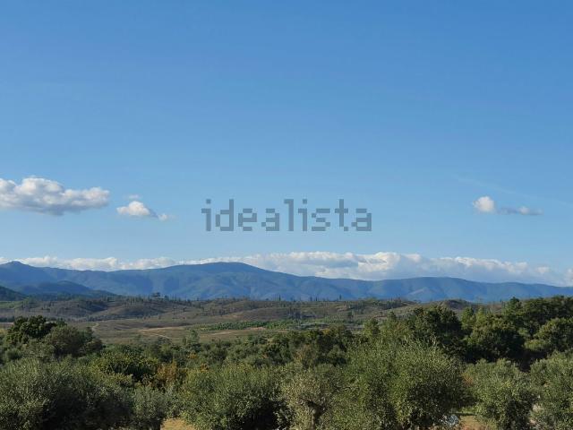 Quinta venda em Castelo Branco