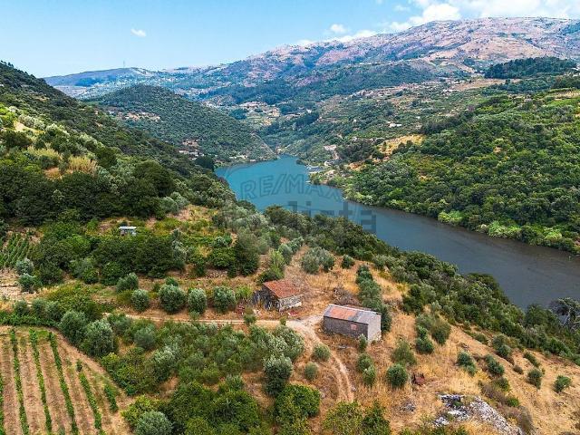 Quinta venda em Baião, Porto