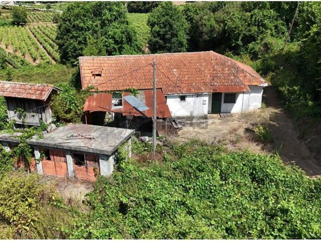 Quinta venda em Felgueiras, Friande