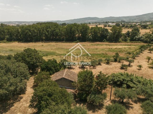 Quinta venda em Castelo Branco, Aldeia Nova Do Cabo