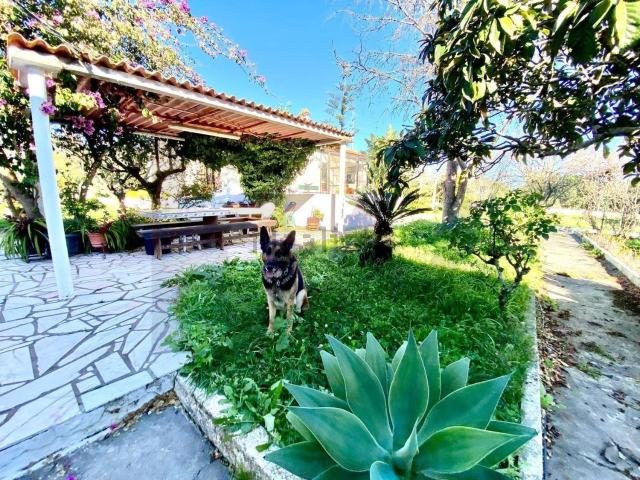 Quinta venda em Quinta da Serralheira, Setúbal
