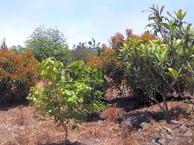 Casa Rural en venta en Garachico, Canarias