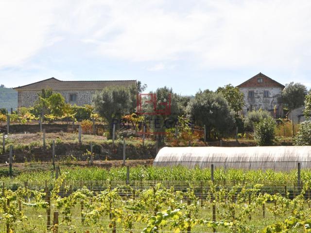 Quinta venda em Gemieira, Quinta de Cartemil Quinta venda em Gemieira, Quinta de Cartemil