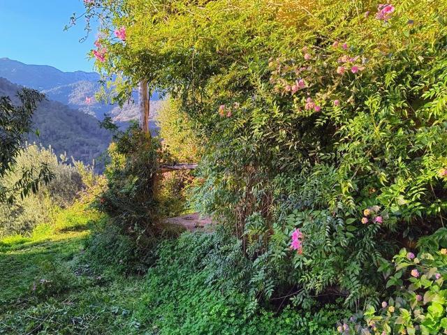 Casa Rural en alquiler en Genalguacil, Málaga