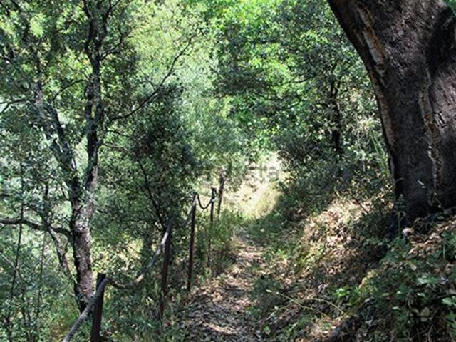 Casa Rural en venta en Serranía de Ronda, Andalucía