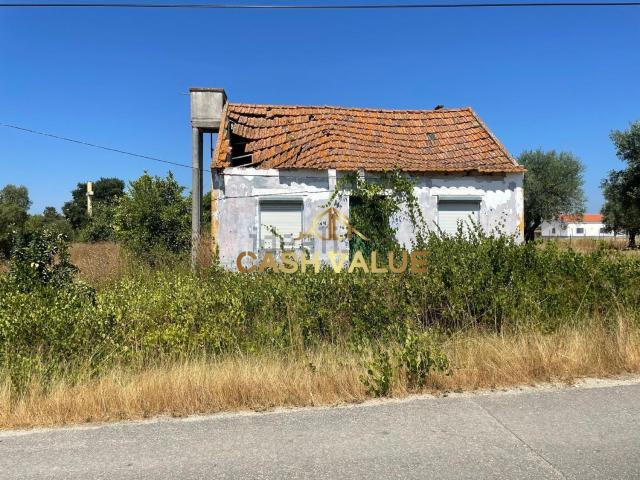 Quinta venda em Salvaterra De Magos, Santarém