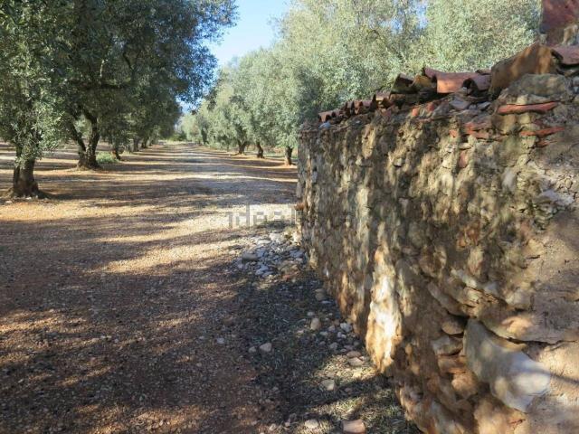 Casa Rural en venta en Montsià, Catalunya