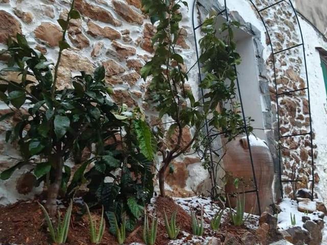 Casa Rural en venta en Montsià, Catalunya