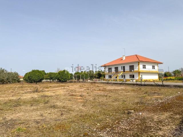 Quinta venda em Casal das Flores, Golegã