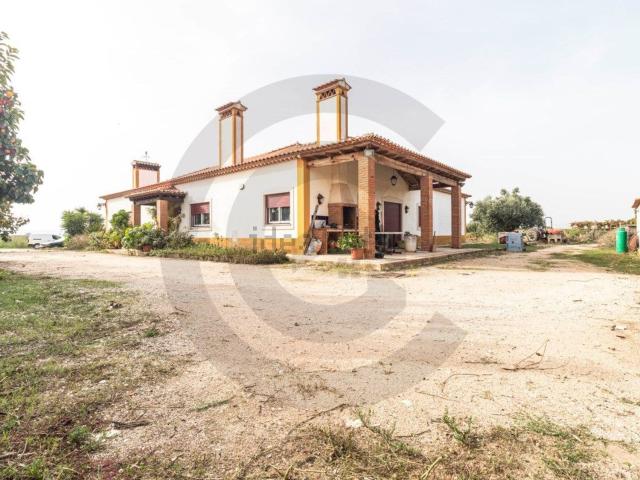 Quinta venda em Golegã, Santarém
