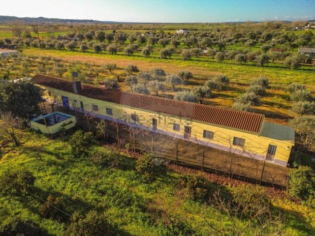 Quinta venda em Quinta da Labruja, Golegã
