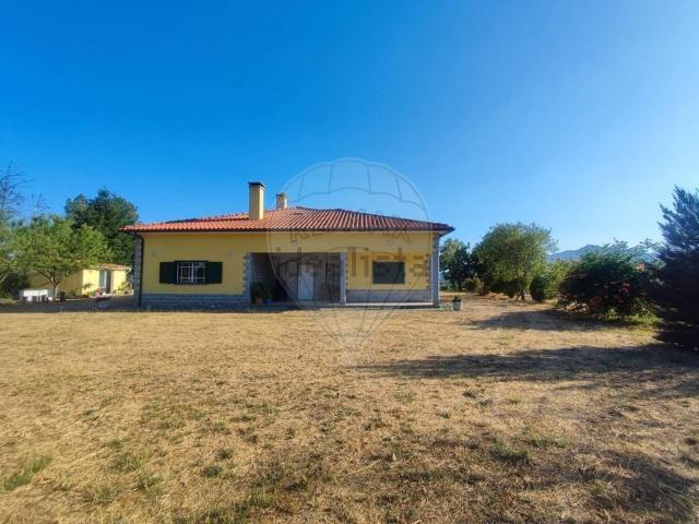 Quinta venda em Gonçalo