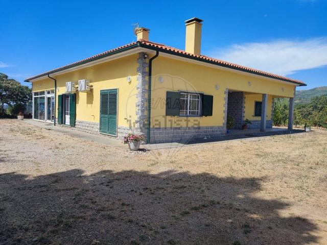 Quinta venda em Guarda