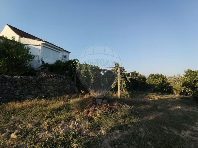 Quinta venda em Gonçalo