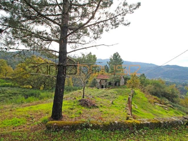 Quinta venda em Amarante, Porto