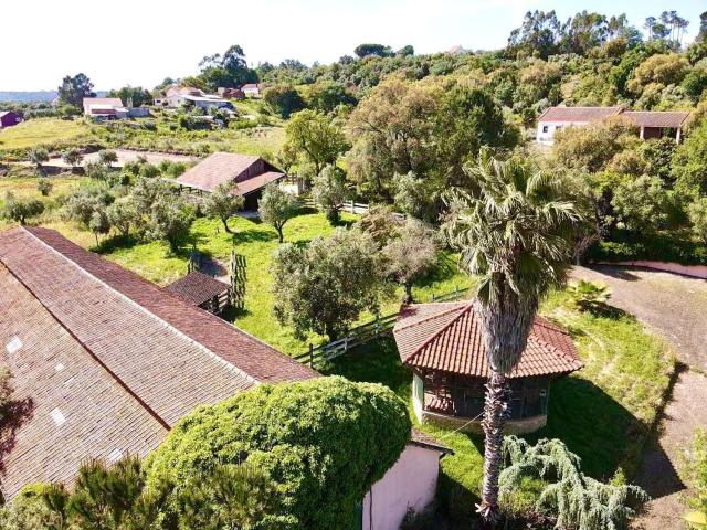 Quinta venda em Ourém, Santarém