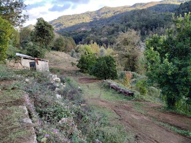 Quinta venda em Guardenha, Covas