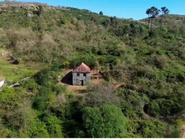 Quinta venda em Baião, Porto