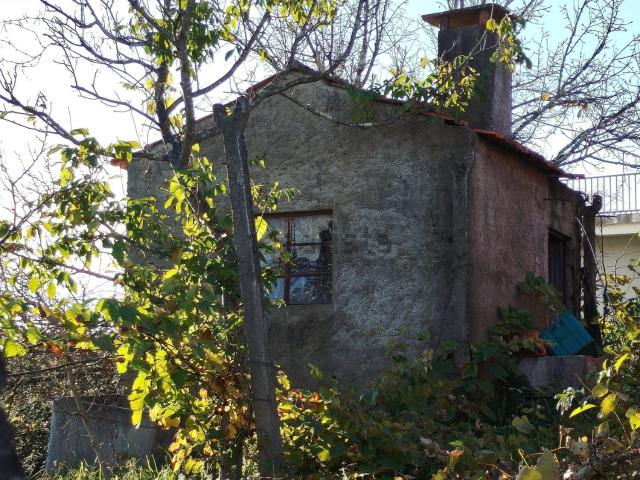 Quinta venda em Pedrógão Grande, Leiria