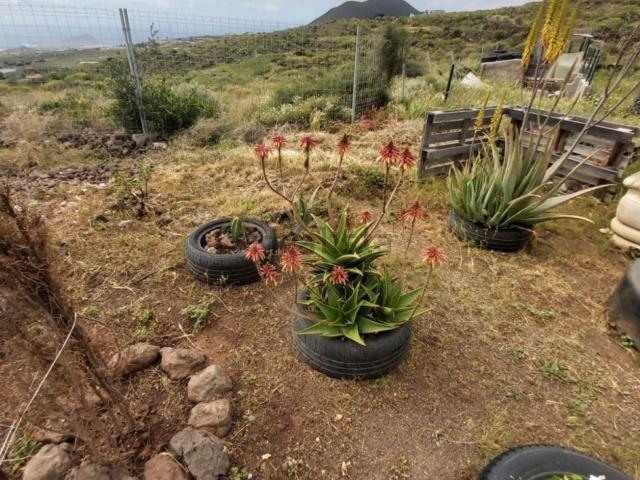 Casa Rural en venta en Los Cuervos, Granadilla de Abona