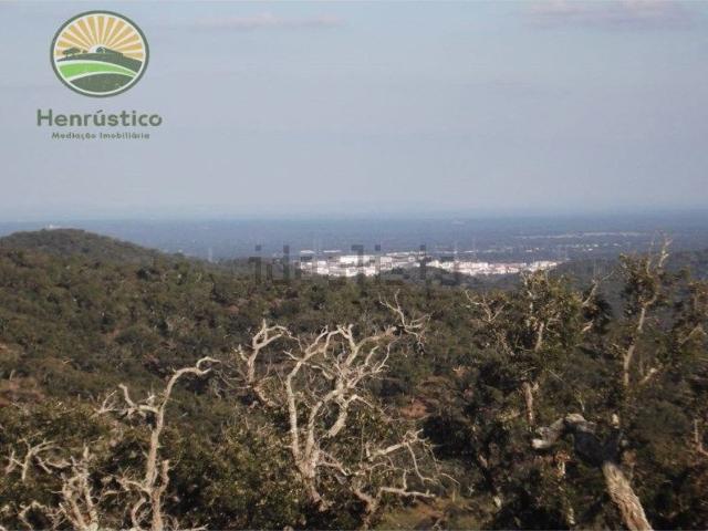 Quinta venda em Grândola, Setúbal