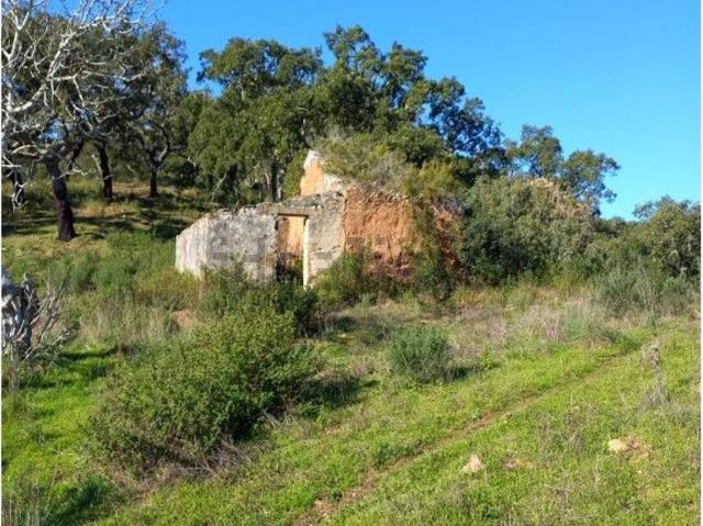 Quinta venda em Setúbal