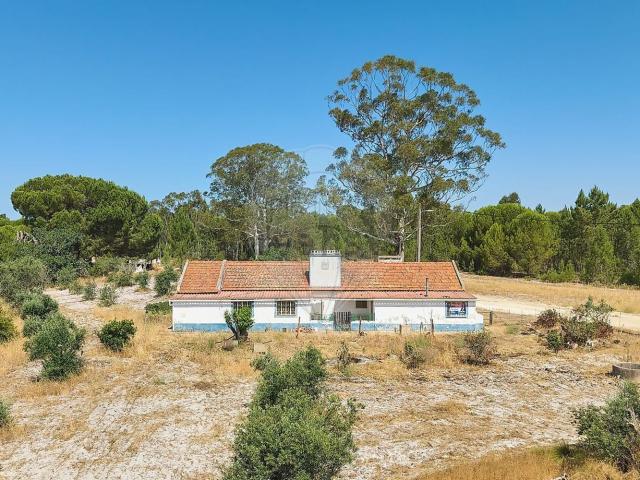 Quinta venda em Grândola, Setúbal