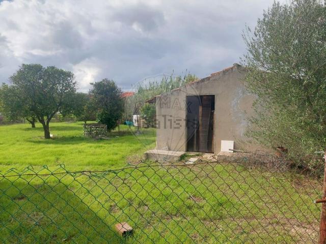 Quinta venda em Grândola, Setúbal