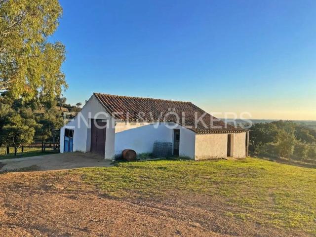 Quinta venda em Grândola, Setúbal