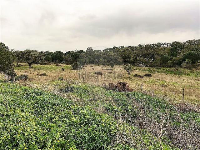 Quinta venda em Grândola, Setúbal