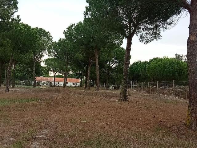 Quinta venda em Grândola, Setúbal