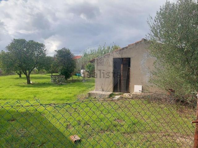 Quinta venda em Grândola, Setúbal