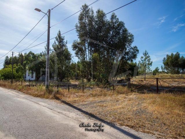 Quinta venda em Bairro do Isaías, Grândola
