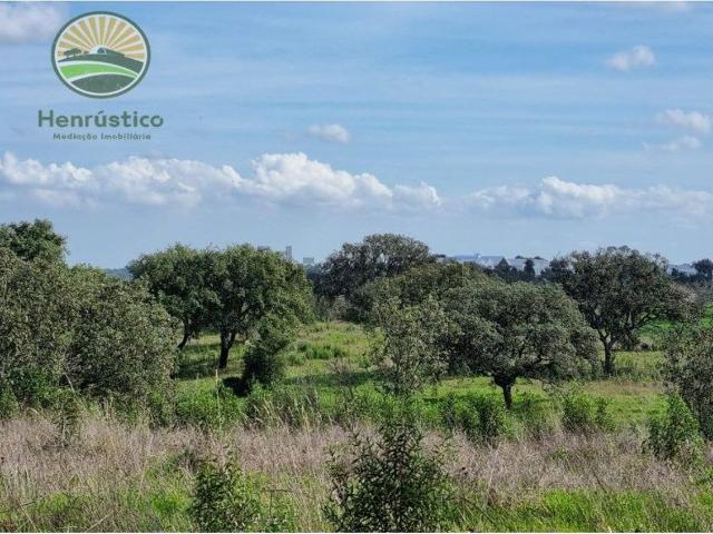 Quinta venda em Grândola, Setúbal
