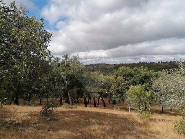 Quinta venda em Mosqueirões, Grândola