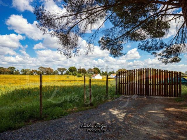 Quinta venda em Setúbal