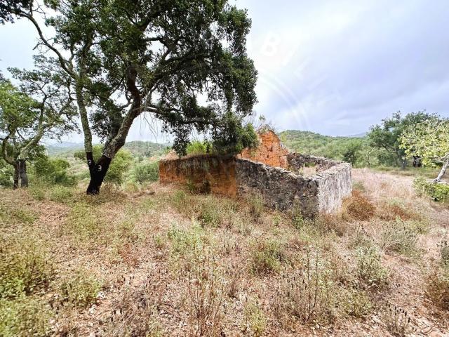 Quinta venda em Grândola, Setúbal