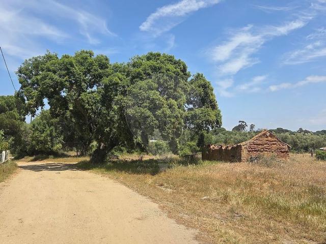 Quinta venda em Grândola, Setúbal