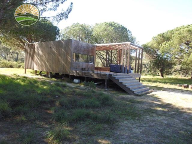 Quinta venda em Grândola, Setúbal