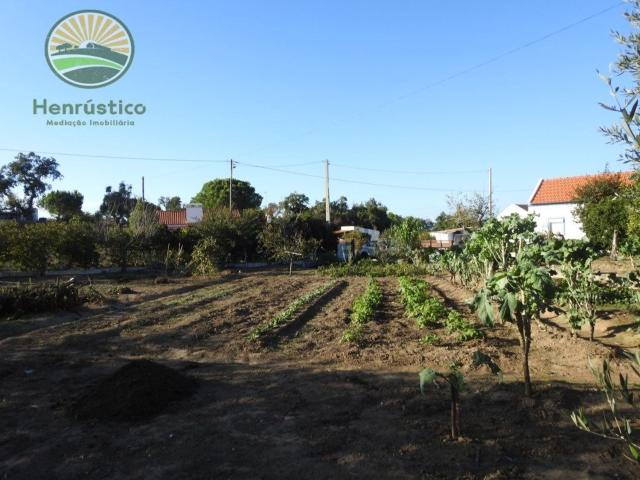 Quinta venda em Grândola, Setúbal